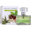 Dolce & Sense Choco/Menthe-پاریس الیسیس دولچه اند سنس چوکو منت