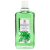 English Fern-برونلی اینگلیش فرن