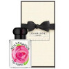 Rose & Magnolia Cologne 2024-جو مالون رز اند مگنولیا کلن 2024