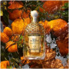 Aqua Allegoria Forte Mandarine Basilic-گرلن اکوا الیگوریا فورته ماندارین باسیلیک