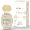 Cabotine Fleur d’Ivoire-گرس کابوتین فلور د ایوار