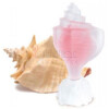 Pink Conch-سی جولز پینک کونچ