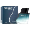 Spirit Absolute-سوییس عربین اسپیریت ابسولوت