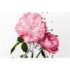 Miss Dior Rose Essence-دیور میس دیور رز اسنس