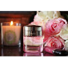 Baiser Vole Lys Rose-کارتیر بایسر ول لیز رز