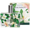 Magnolia-فراگونارد مگنولیا