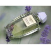 Aberdeen Lavender-کرید آبردین لوندر