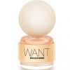 Want-دسکوارد2 وانت