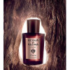 Colonia Quercia-آکوا دی پارما کولونیا کورسیا