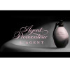 L'Agent-ایجنت پروواکتر له ایجنت