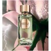 Absolue Storm & Roses-لانکوم ابسولوت استورم اند رزز