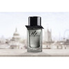 Burberry Mr-باربری مستر باربری
