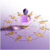 Good Fortune-ویکتور اند رولف گود فورتون