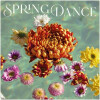 Spring Dance-جاس باکس اسپرینگ دنس