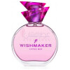Wishmaker-لیتل میکس ویش میکر