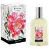Pivoine-فراگونارد پیوون