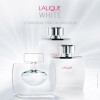 Lalique White-لالیک وایت (لالیک سفید)