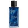 Fierce Blue-آبرکرامبی اند فیچ فیرس بلو