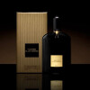 Black Orchid-تام فورد بلک ارکید