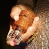 Florence Amber-روبرتو کاوالی فلورنس امبر