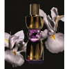 Manifesto Le Parfum-ایو سن لورن مانیفستو له پارفوم (منیفستو لی پرفیوم)