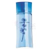 Fraicheur Vegetale Cedre Bleu-ایو روشه فریشر وجتل سدر بلو