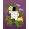 Fig Infusion-اسنشیال پرفیومز فیگ اینفوژن