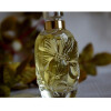 Aromatics Elixir Premier-کلینیک آروماتیکس الیکسیر پرمیر