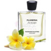 Plumeria-تئودوروس کالوتینیس پلومریا