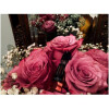Une Rose-فردریک مال این رز