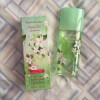 Green Tea Jasmine-الیزابت آردن گرین تی جاسمین