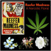 Reefer Madness-ایتر ارتس پرفیوم ریفیر مدنس