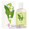 Lily Of The Valley (Muguet)-ایو روشه لیلی آف د ولی (موگت)