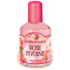 Rose Pivoine-جاردین د امور رز پیوون