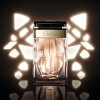 La Panthere Edition Soir-کارتیر لا پانتیر ادیشن سویر