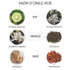 Matin D'Opale-فسون پارفومز متین دوپیل