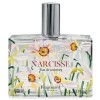 Narcisse-فراگونارد نارسیس