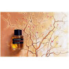 Le Parfum de Therese-فردریک مال له پارفوم د تیغس