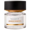 Amberness-بی ام و فرگرنرسز امبرنس