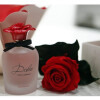 Dolce Rosa Excelsa-دولچه گابانا دولچه رزا اکسّلسا