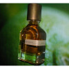 Bergamask-اورتو پاریسی برگاماسک