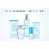 Bluebell + White Tea-لاو تو لاو بلو بل + وایت تی