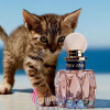 Miu Miu L’Eau Rosée-میو میو لئو رزی