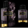 Nightfall Patchouli-کارولینا هررا نایت فال پچولی