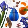 Blue Rhapsody-سارا جسیکا پارکر بلو راسپودی
