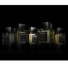 Haitian Vetiver-ارمنگیلدو زگنا هایتیان وتیور