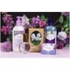 Highland Lilac-هایلند لیلاک اف روچستر هایلند لیلاک