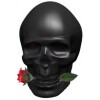 Ed Hardy Skulls & Roses for Him-کریستین اودیگیر اد هاردی اسکولز اند رزز فور هیم