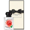 Rose Blush Cologne 2024-جو مالون رز بلاش کلن 2024
