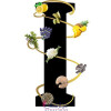Noir Premier Terres Aromatiques-لالیک نویر پرمیر تقس آروماتیک (نواغ پریمیر ترس آروماتیکس)